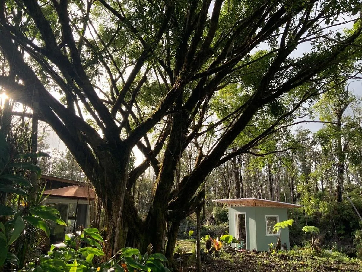 Majestic Banya Tree Cabin Mountain View United States