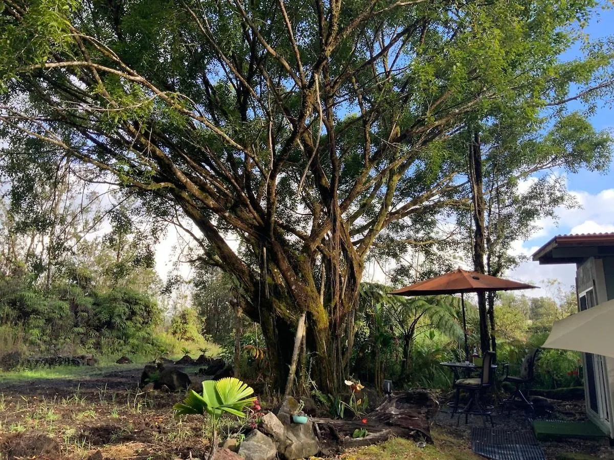 Majestic Banya Tree Cabin Mountain View