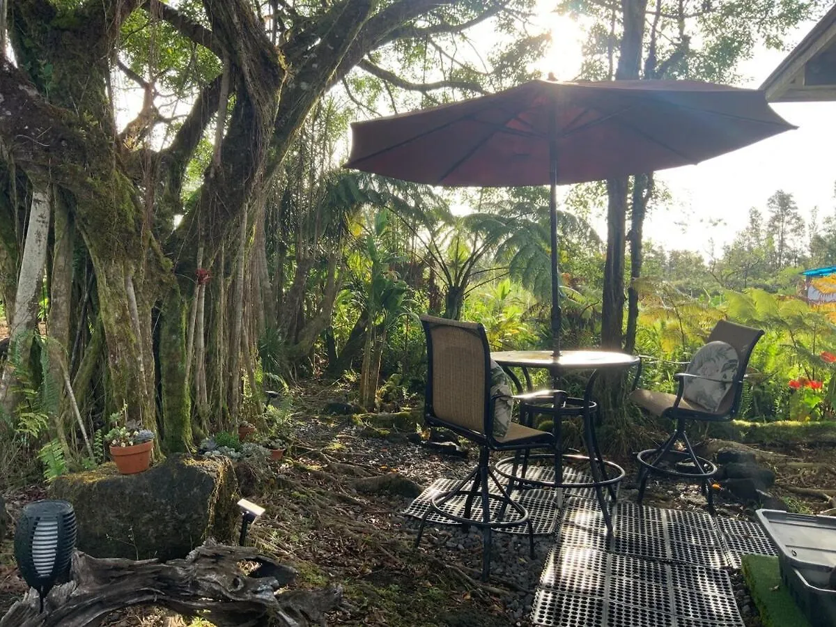 Majestic Banya Tree Cabin Mountain View 0*,