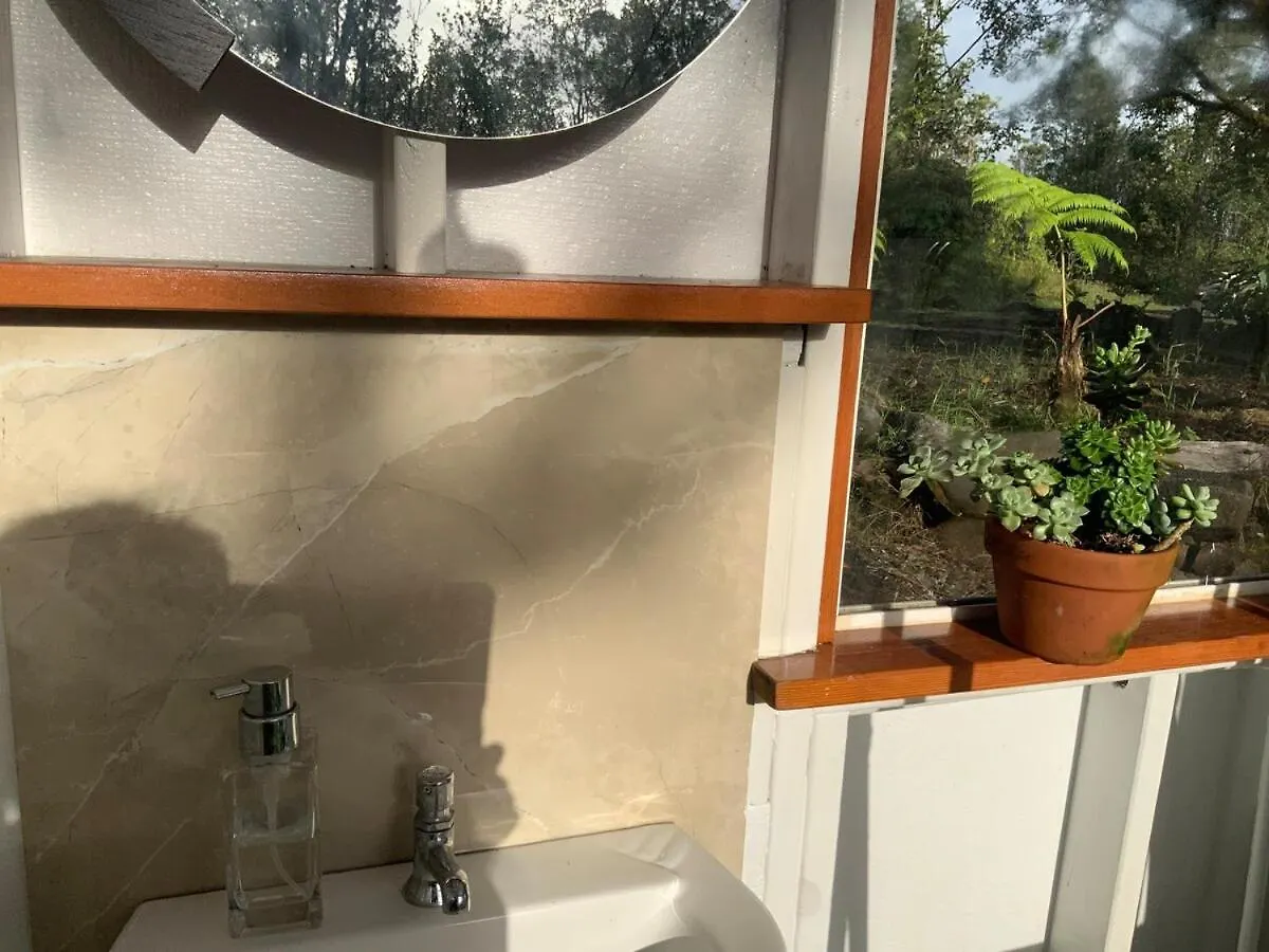Majestic Banya Tree Cabin Mountain View 0*,  United States