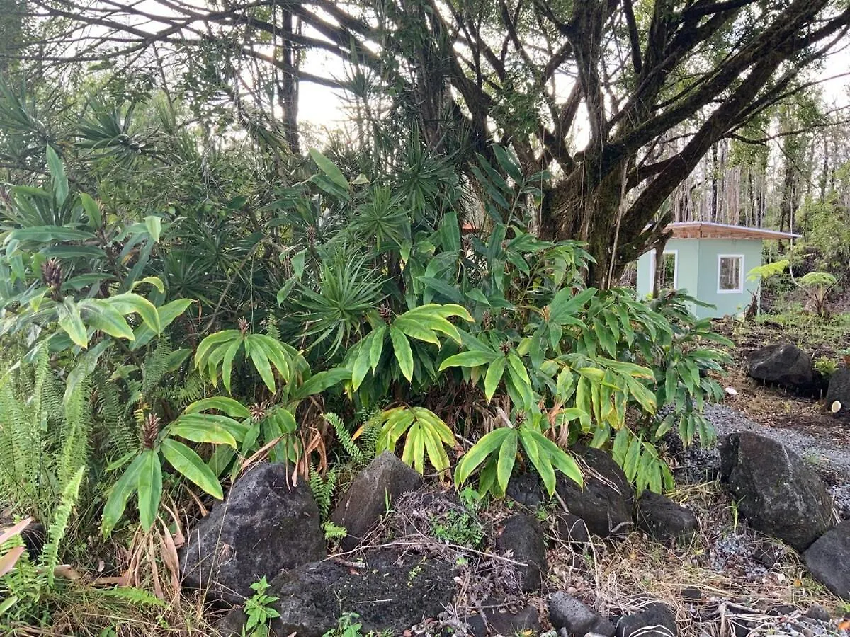 Holiday home Majestic Banya Tree Cabin Mountain View