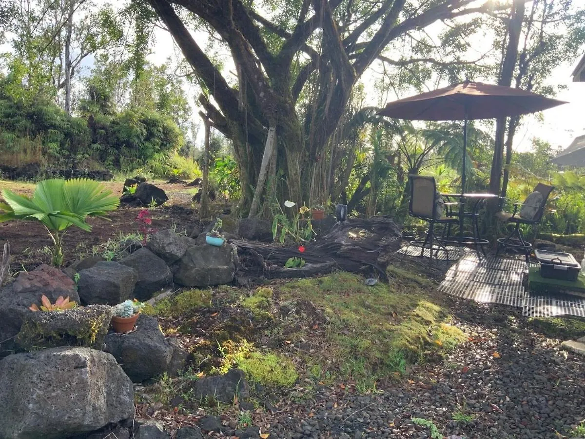 Majestic Banya Tree Cabin Mountain View United States
