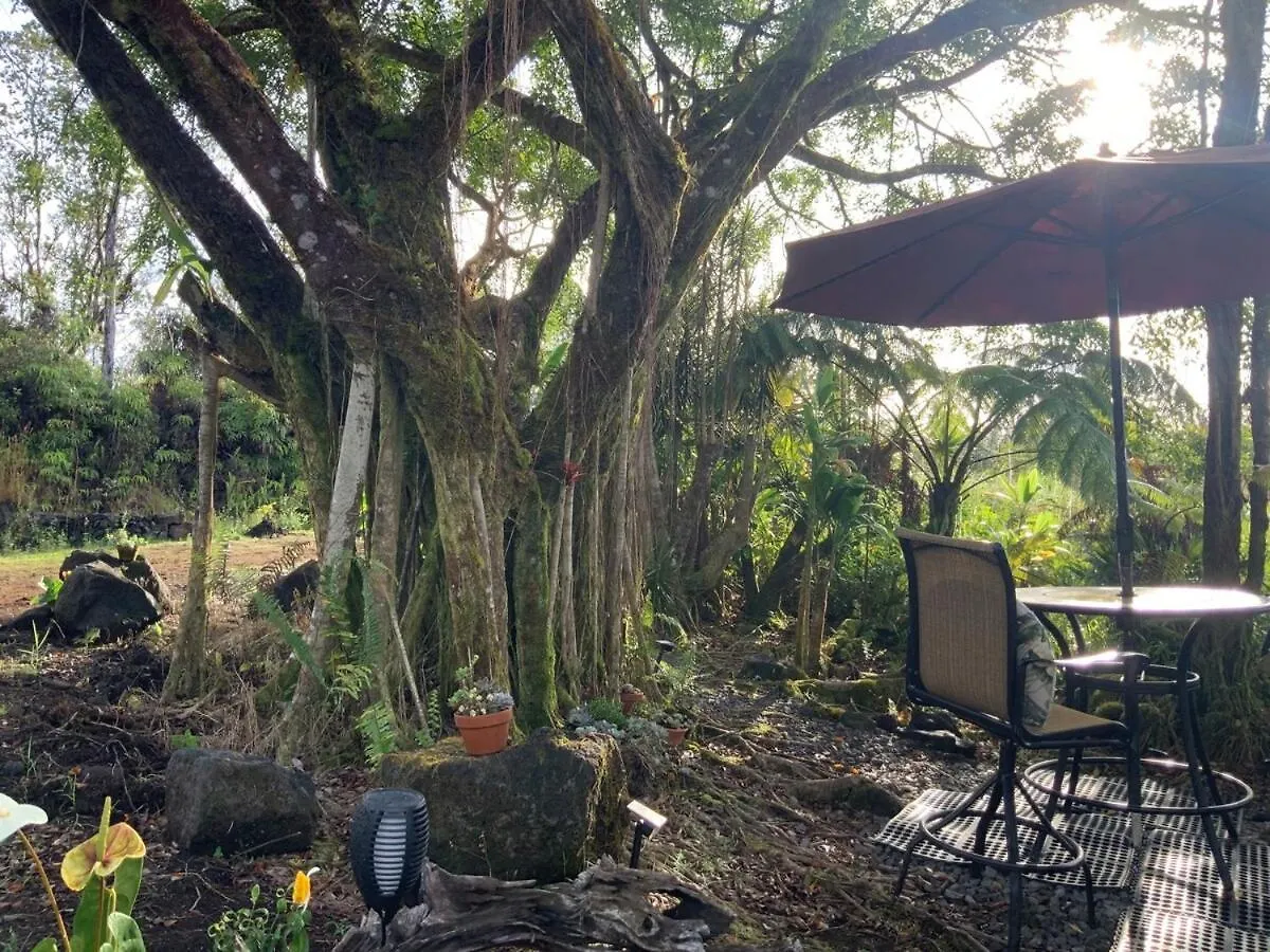 Majestic Banya Tree Cabin Mountain View
