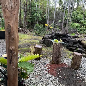 Exotic Garden At Amazing Volcano Fissure Mountain View