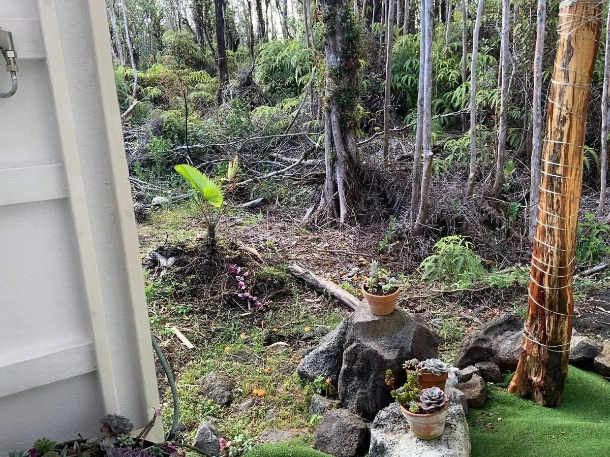 Majestic Banya Tree Cabin Mountain View 0*,  Stati Uniti